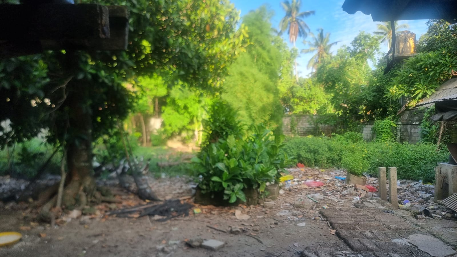 Tempat Usaha Di Sewakan Di Pengosekan Denpasar Bali